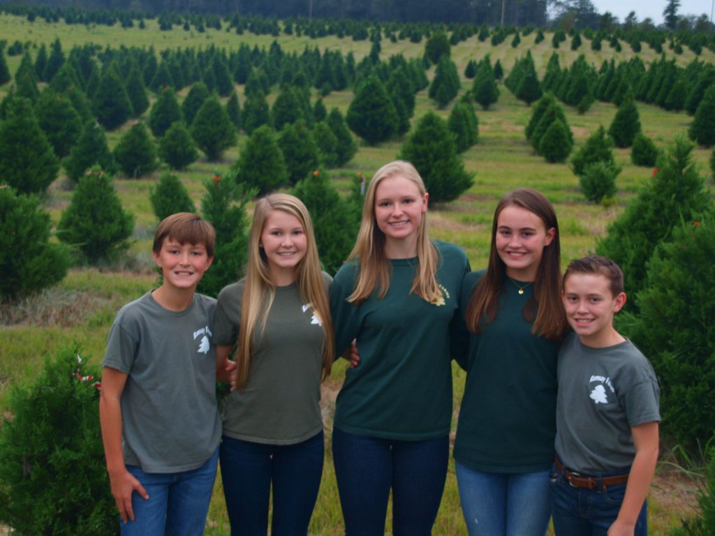 Your Local Tree Farm