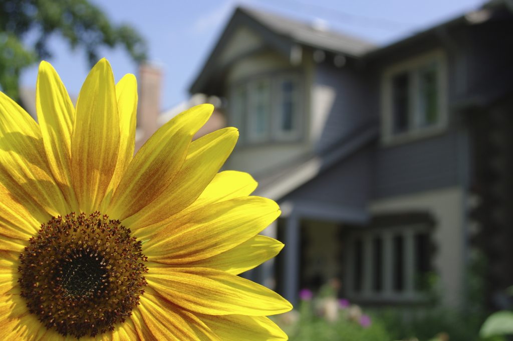 Selling Your Home in the Springtime