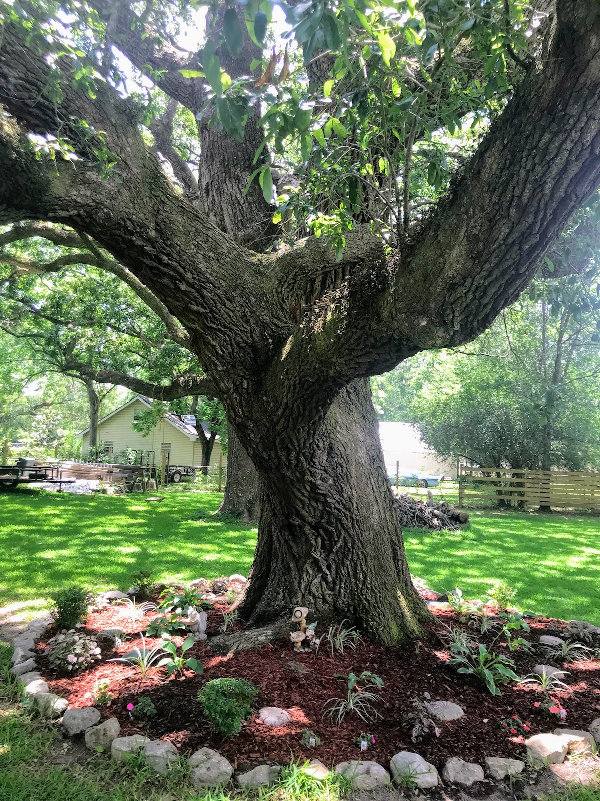 Yard of the Month - June 2019