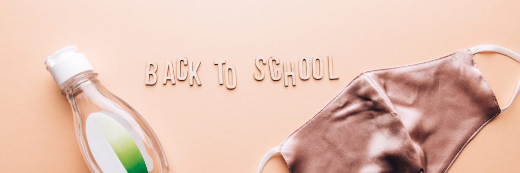 Sending Children to School